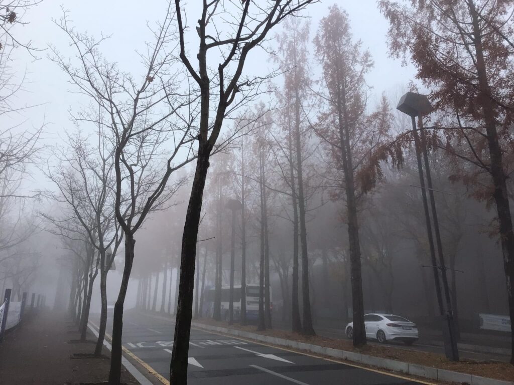 Nỗi niềm riêng Nỗi niềm riêng