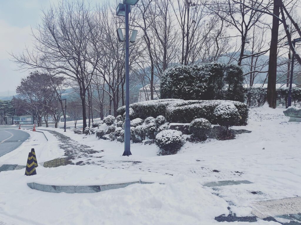 Tương tư
