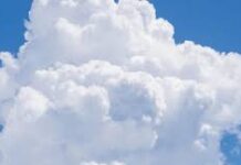 Tuyển tập nguyễn tư Phong tháng 6