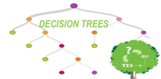 Rối Loạn Nhân Cách Ranh Giới: Triệu Chứng, Nguyên Nhân và Cách Điều Trị