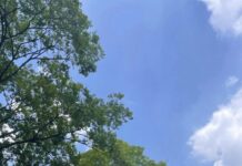 Tuyển tập thơ Nguyễn Bính