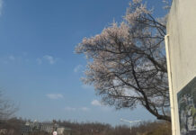 Lộ trình học TOPIK I trong 1 tháng (30 ngày)